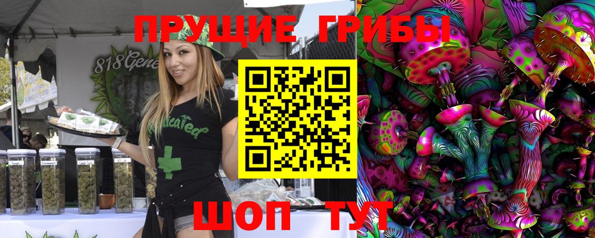 Псилоцибиновые грибы мицелий Чебоксары