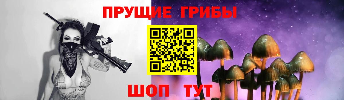 Галлюциногенные грибы Cubensis  Вход с VPN  Чебоксары  Псилоцибиновые грибы Psilocybe 